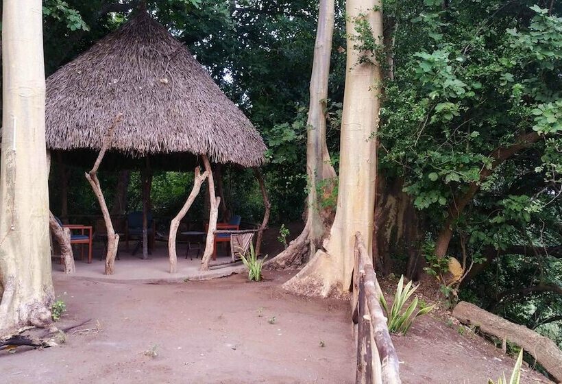 Bed and Breakfast Selous Adili Forest Camp