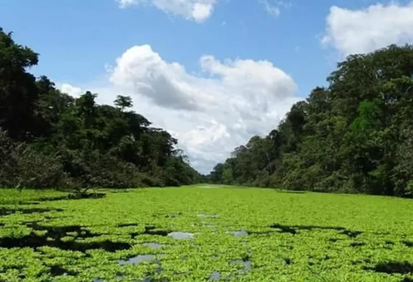 ホテル Amazon Wonder Expeditions
