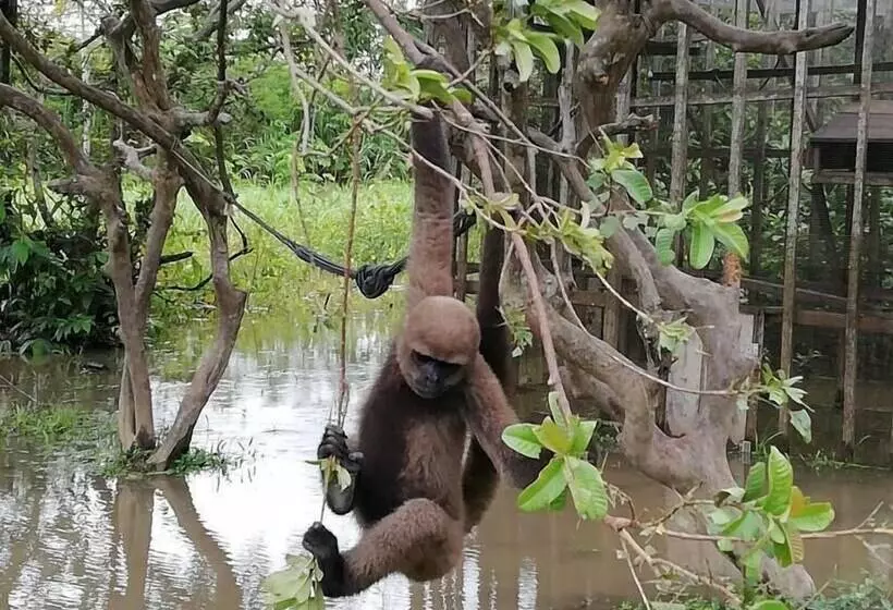 ホテル Amazon Wonder Expeditions