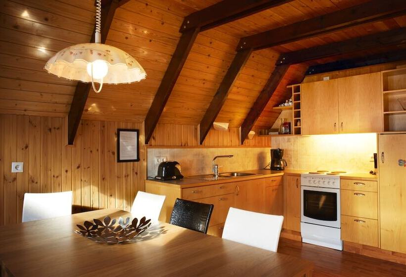 酒店 Birkihof Lodge