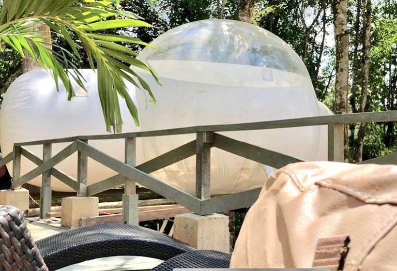 Hotel Glamping Stars