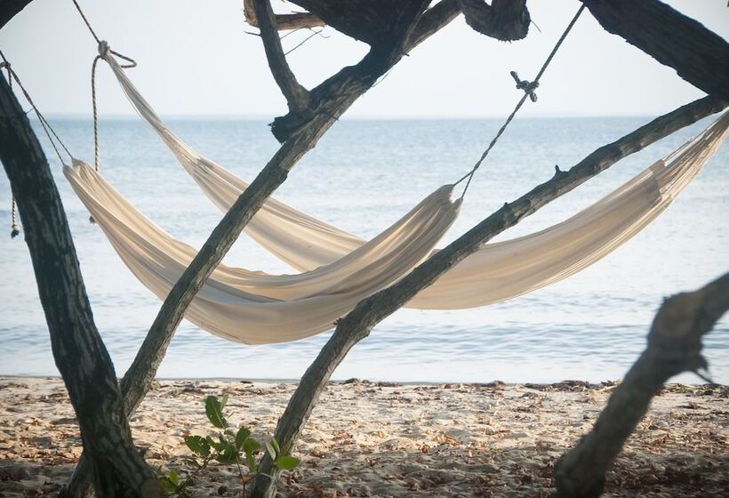 Отель Playa Manglares Isla Barú