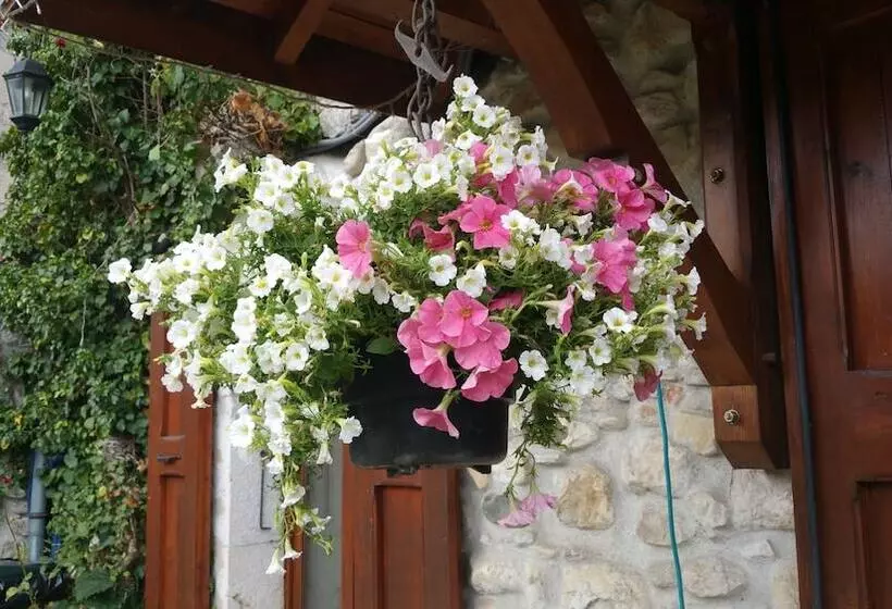 ペンション Chambres D Hôtes La Maison D Euterpe