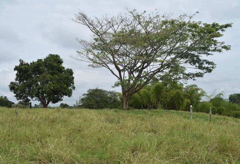 膳宿费 Kamal Country House