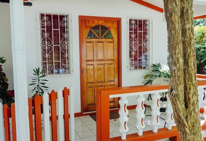 Scraper S Guest House