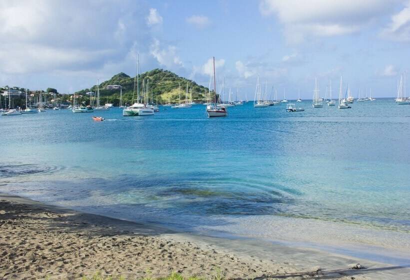 Scraper S Guest House