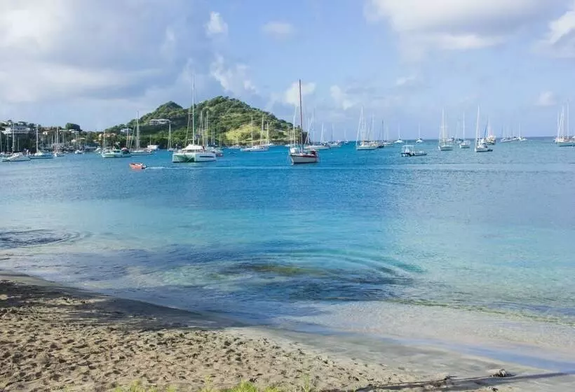 Scraper S Guest House