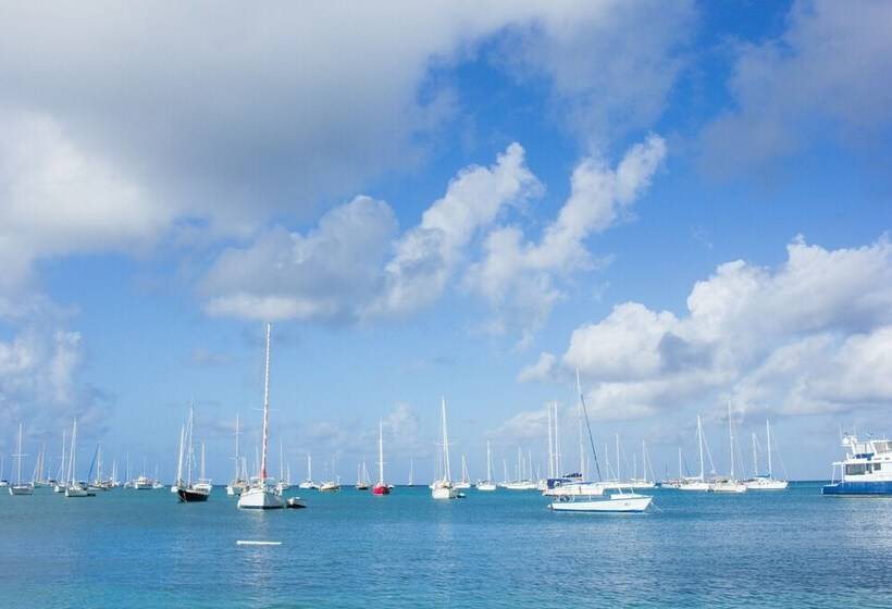 Scraper S Guest House