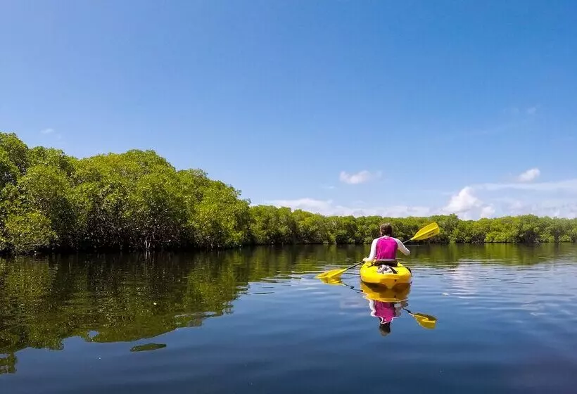 Scraper S Guest House