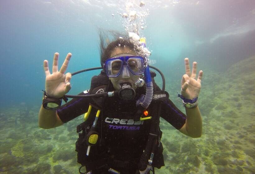 Scraper S Guest House