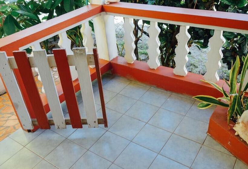 Scraper S Guest House