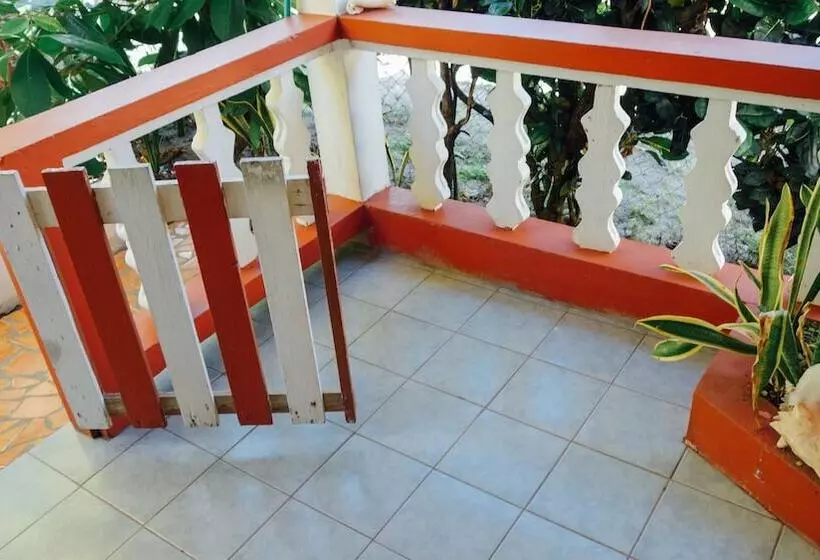 Scraper S Guest House