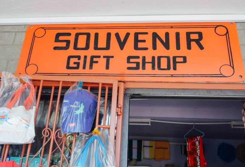 Scraper S Guest House