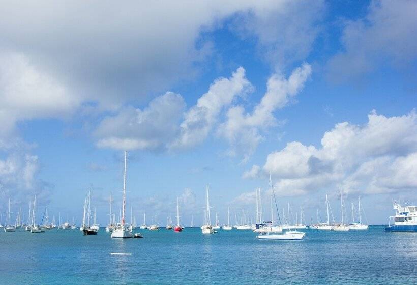 Scraper S Guest House