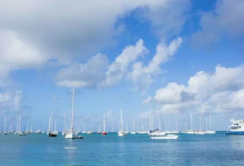 Scraper S Guest House