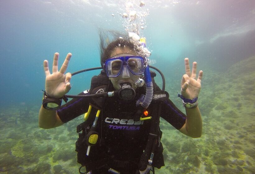 Scraper S Guest House