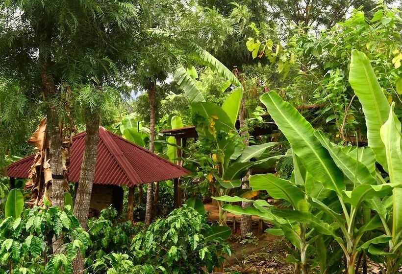 Общежитие Sítio Monte Alegre