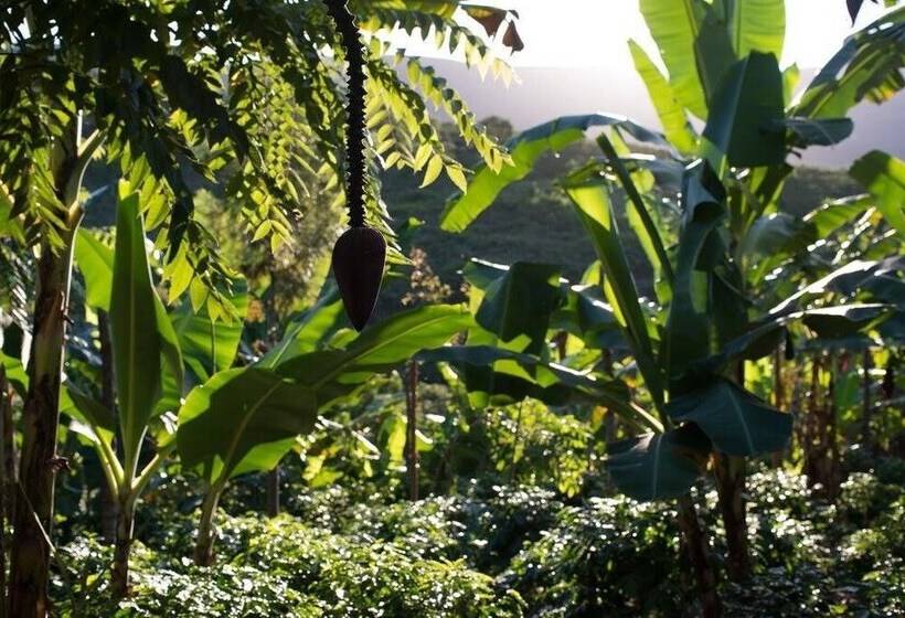 Общежитие Sítio Monte Alegre