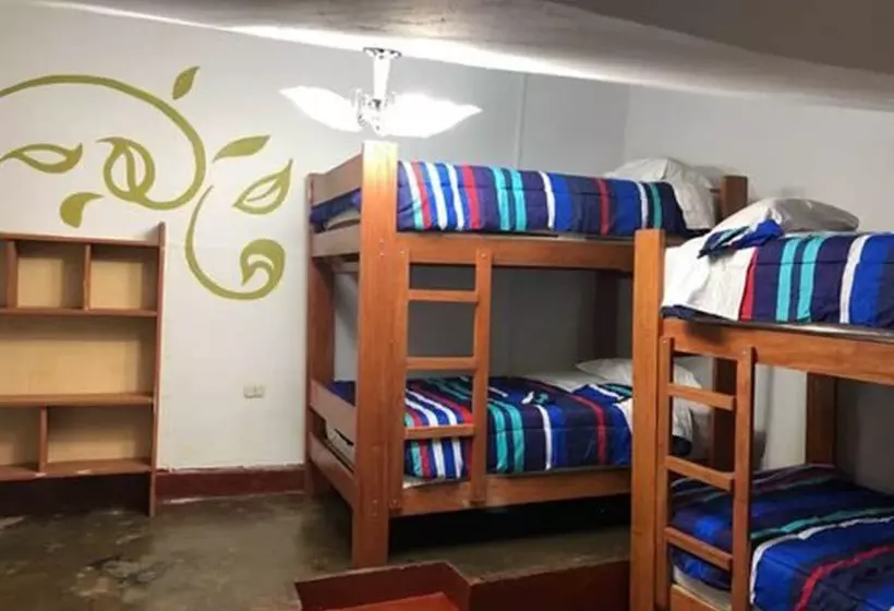 هاستل Dejavu Backpackers Chachapoyas