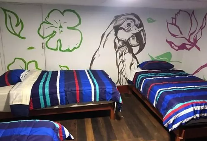 هاستل Dejavu Backpackers Chachapoyas