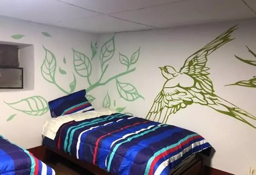 هاستل Dejavu Backpackers Chachapoyas