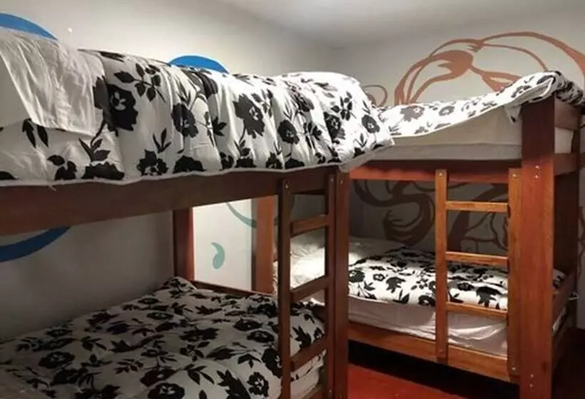 هاستل Dejavu Backpackers Chachapoyas