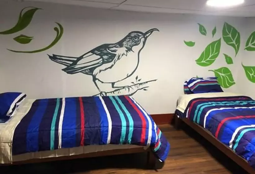 هاستل Dejavu Backpackers Chachapoyas