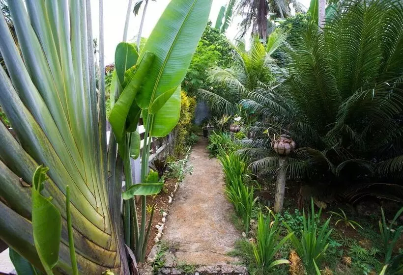Isla Haruhay Homestay   Hostel
