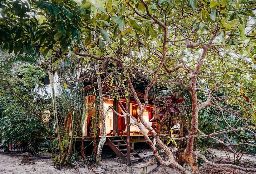 Отель Canto Leela Eco Bungalows