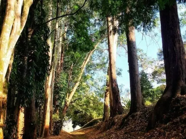 ホテル Pueblito Cafetero