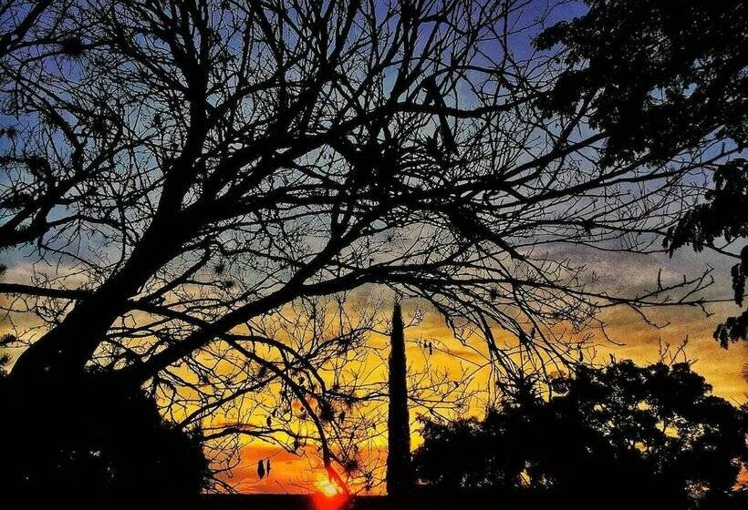 هتل Pueblito Cafetero