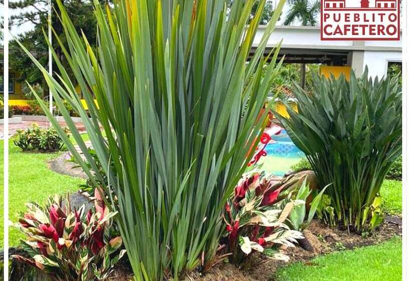 هتل Pueblito Cafetero