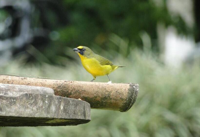 هتل Pueblito Cafetero