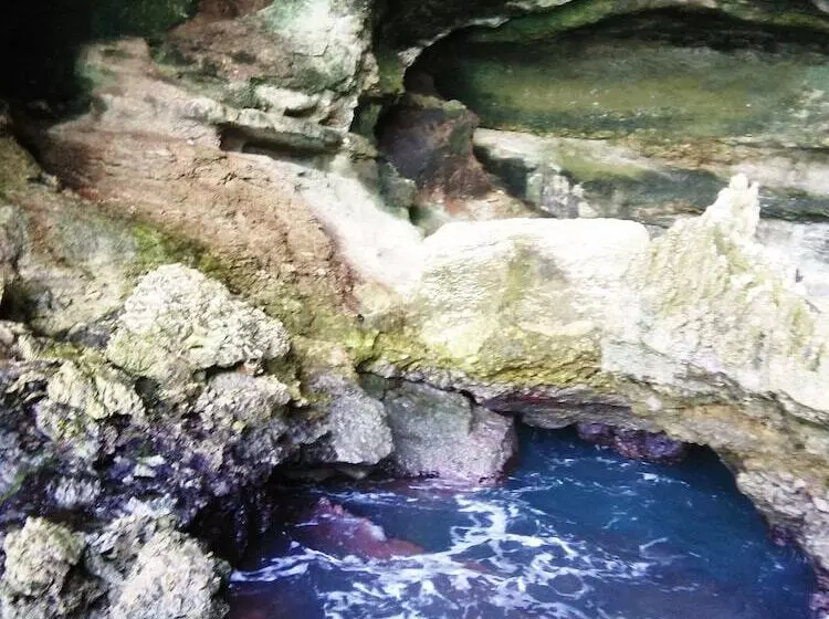 Hotelli Western Highway Lodge