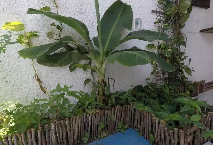 La Playa Hostel