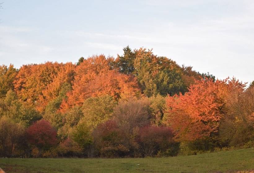 Lilla Rygården Bed & Breakfast