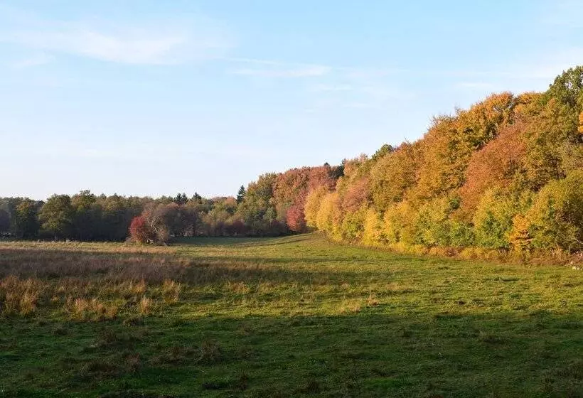 Lilla Rygården Bed & Breakfast