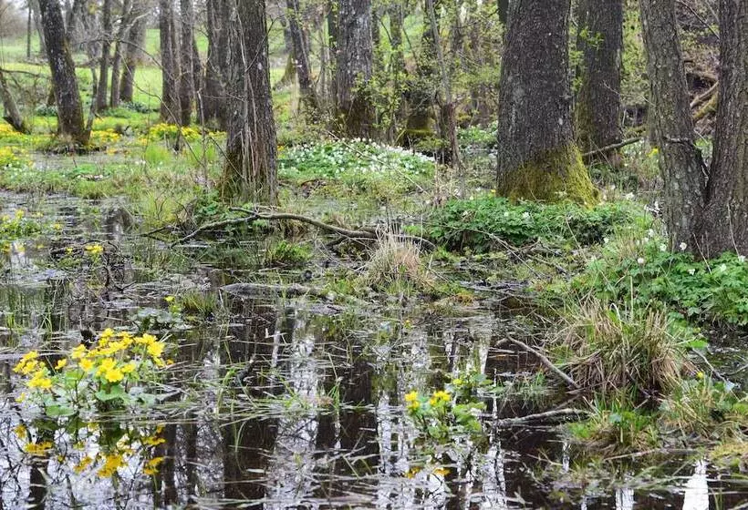 Lilla Rygården Bed & Breakfast