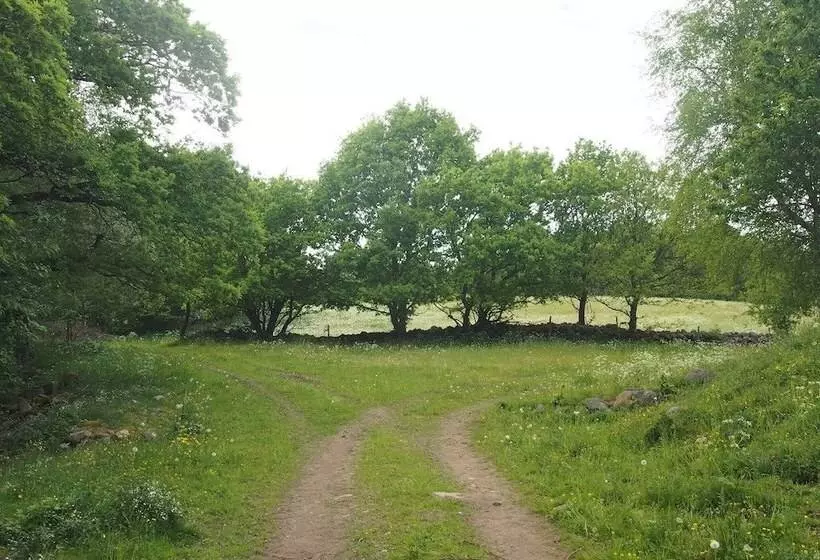 Lilla Rygården Bed & Breakfast