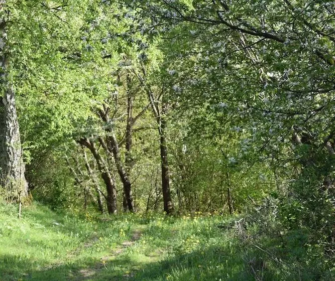 Lilla Rygården Bed & Breakfast