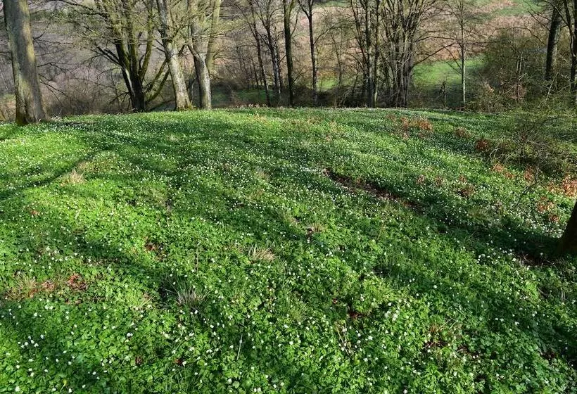 Lilla Rygården Bed & Breakfast