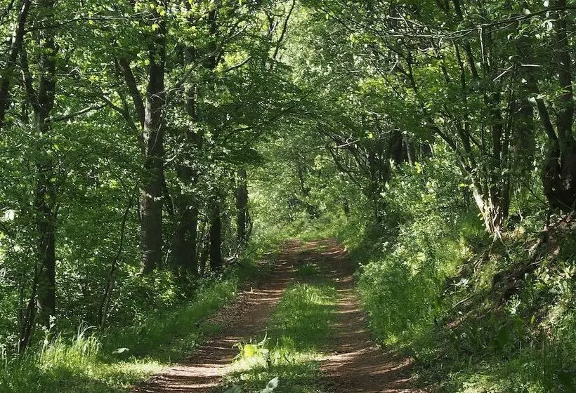 Lilla Rygården Bed & Breakfast