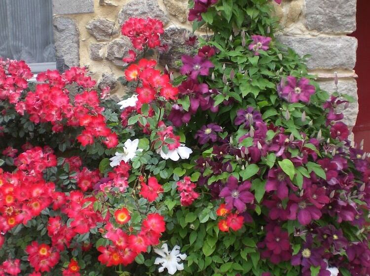بنسيون Moulin De Courlas Chambres D Hôtes