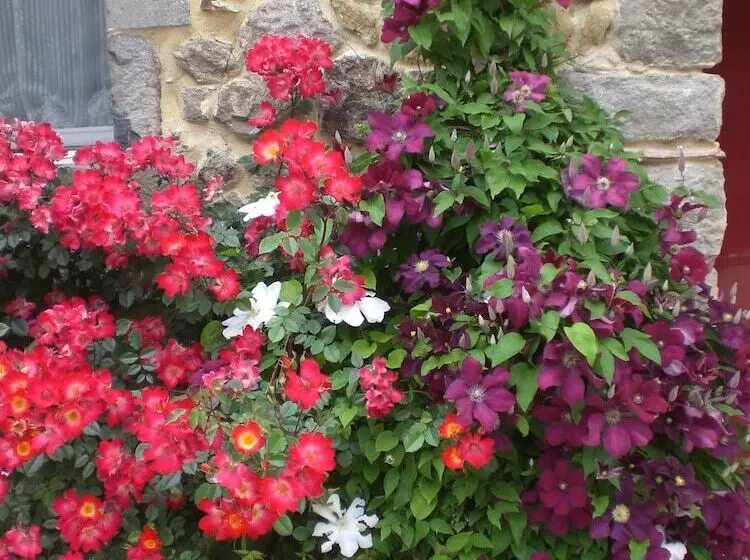 ペンション Moulin De Courlas   Chambres D Hôtes