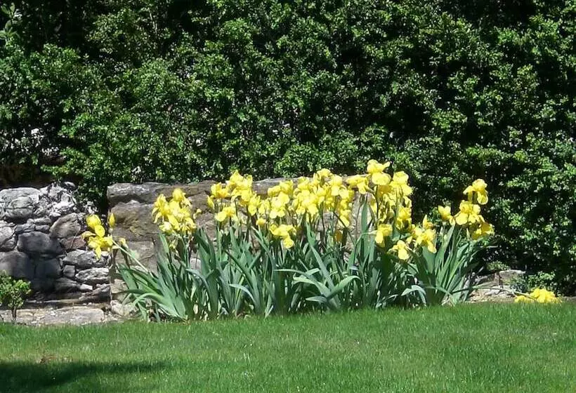 ペンション Moulin De Courlas   Chambres D Hôtes