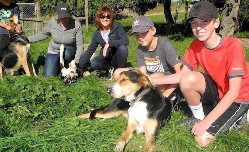 Пансион Peter S Farm Lodge