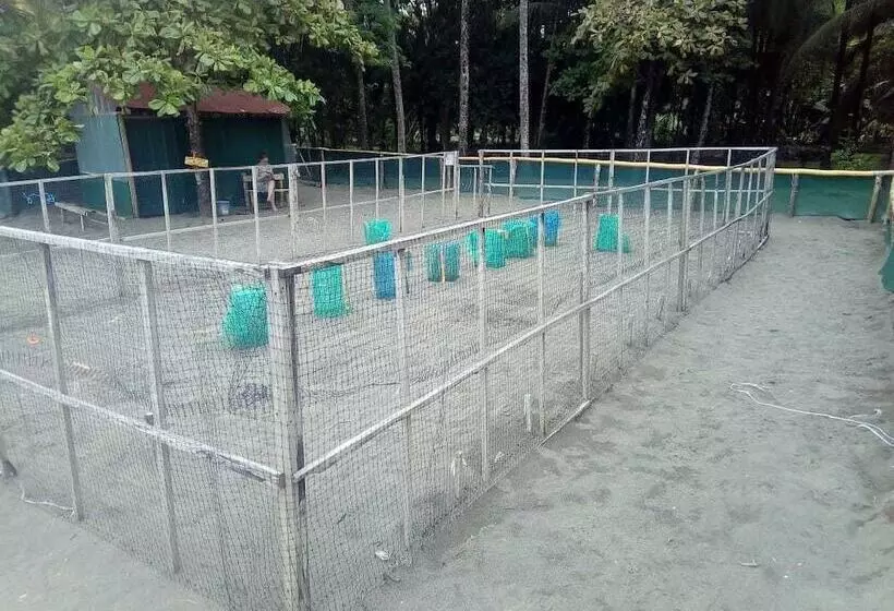 Posada Alroma   Hostel