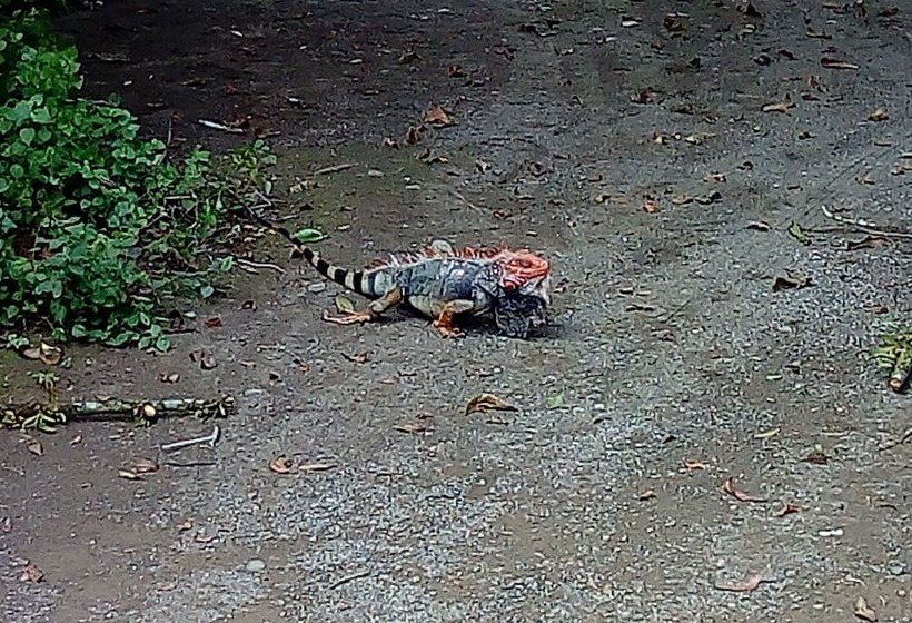 Posada Alroma   Hostel