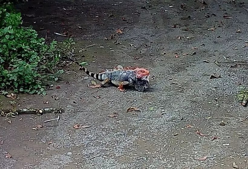 Posada Alroma   Hostel