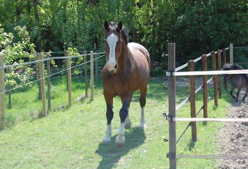 B&b Kasteelhoeve Dussen